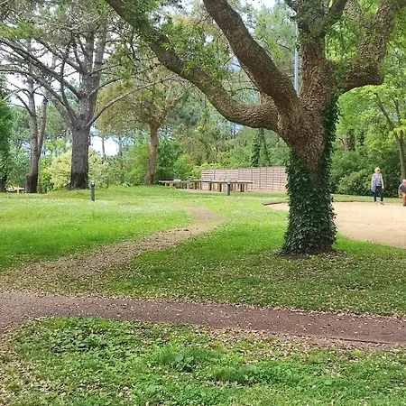 Dans Pierre Et Avec Vue Sur Piscine Entre Et Golf モリエ・エマー
