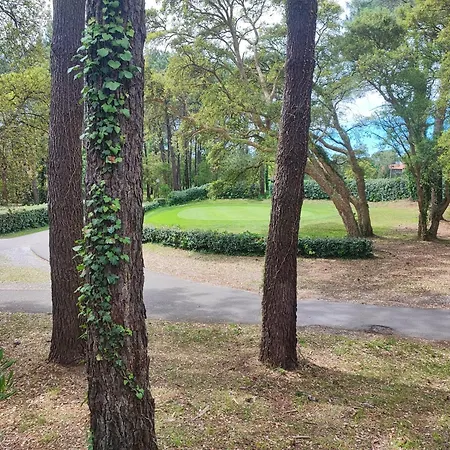 Dans Pierre Et Avec Vue Sur Piscine Entre Et Golf 公寓